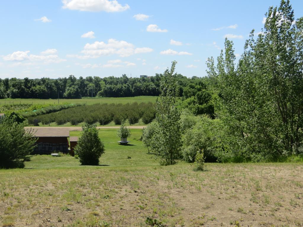 Orchard View Bed And Breakfast Moose Jaw Eksteriør bilde