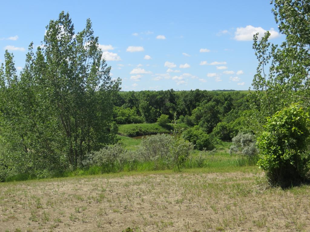 Orchard View Bed And Breakfast Moose Jaw Eksteriør bilde